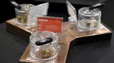 As 'Cannabis 2.0' kicks off in Canada, industry strangled by limited retail outlets