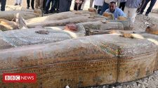 Egypt archaeologists find 20 ancient coffins near Luxor