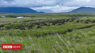 Climate change: Peatlands 'turning into carbon sources'