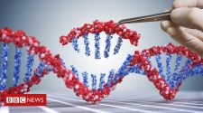 Prime editing: DNA tool could correct 89% of genetic defects