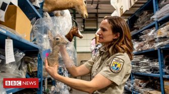 National Wildlife Property Repository: The people who take care of dead animals