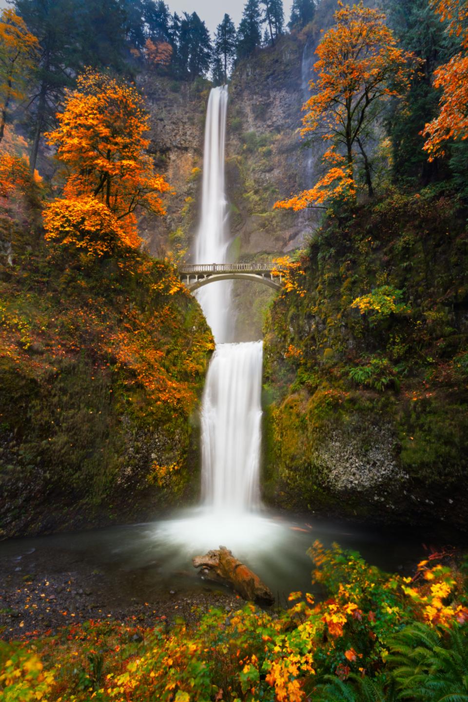 Oregon's Multnomah Falls outside of Portland are awe-inspiring. And quite photographable.