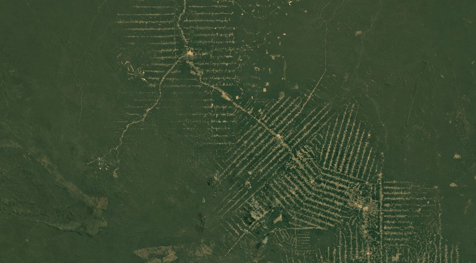 Satellite image of Rondonia, Brazil, in 1984