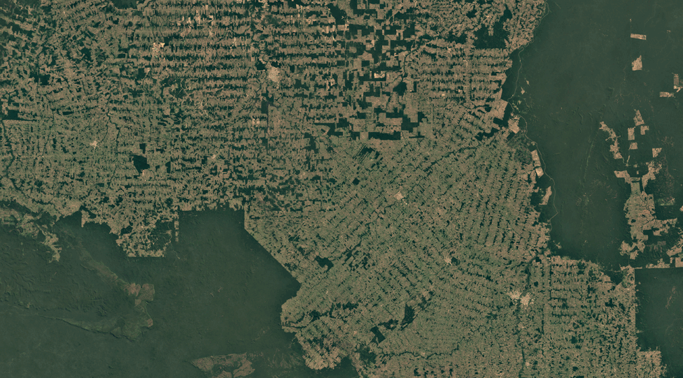 Satellite image of Rondonia, Brazil, in 2018