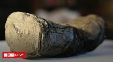 Herculaneum scroll: Shining a light on 2,000-year-old secrets