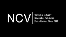 How Technology Will Differentiate the Cannabis Industry – New Cannabis Ventures
