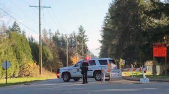 Witness to Langley police pursuit saw SUV fleeing ‘seven to nine’ police vehicles – Aldergrove Star