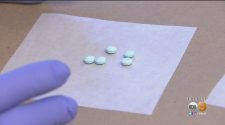 More California Residents Dying From Fentanyl Than Opioids – CBS Los Angeles