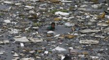 Water pollution is killing millions of Indians. Here's how technology and reliable data can change that