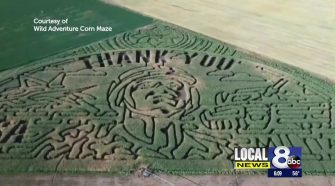 Local corn maze uses GPS planting technology to create their design