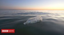 Where plastic outnumbers fish by seven to one