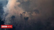 Amazon fires intensify Andes glacier melt