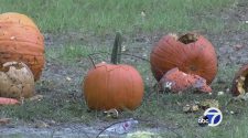 'Great Pumpkin Blowout' lets people explode pumpkins with Civil War era technology
