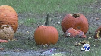 'Great Pumpkin Blowout' lets people explode pumpkins with Civil War era technology