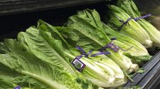 CDC warns consumers not to eat romaine lettuce from Salinas Valley, Ca.