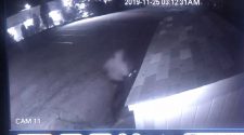 High Point businesses targeted in rash of break-ins – myfox8.com