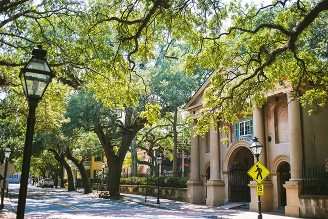 The College of Charleston campus. - FLICKR USER ADWRITER