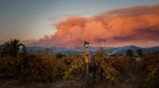 Farmworkers face daunting health risks in California’s wildfires – Daily Democrat