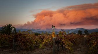 Farmworkers face daunting health risks in California’s wildfires – Daily Democrat
