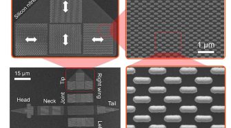 Nanomagnets control shape-morphing micromachines – Physics World