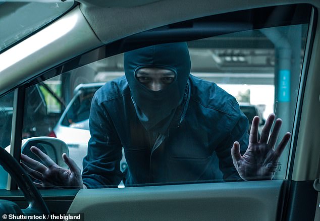 In August, an investigation found that some keyless models can be stolen in as little as ten seconds (stock image)