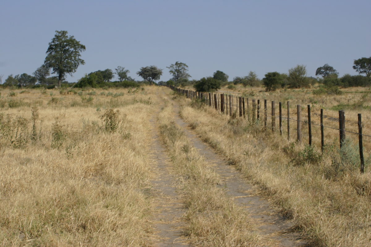 The Setata Fence was built in 1995 to prevent disease migrating from wild animals to domestic cattle. Because of its impact on migrating wildlife, it was taken down in 2004, only to be rebuilt in 2008. Image by Terry Feuerborn via Flickr (CC BY-NC 2.0)