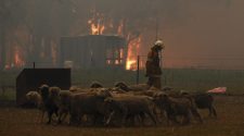'Catastrophic' Wildfires Continue To Rage Across Australia : NPR