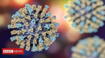 Could relatives of measles virus jump from animals to us?