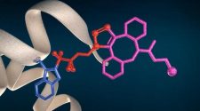 New technology for protein bioconjugation and structural proteomics