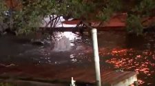 Latest Sewer Main Break Turns Broward Neighborhood Into ‘War Zone’ – NBC 6 South Florida