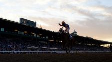 FILE PHOTO: Horse Racing: 36th Breeders Cup World Championship