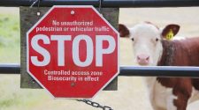 Biosecurity – From the Horse’s Mouth