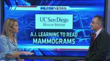 Technology created for artificial intelligence to read mammograms -