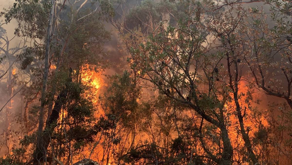 Breaking: Southern Highlands towns under fire attack, fire impact Wingello