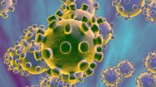 Wuhan pneumonia: New coronavirus related to SARS idenitified