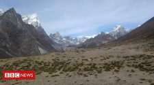Plant life 'expanding over the Himalayas'