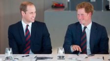 Prince Harry and Prince William say bullying story is false