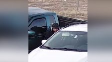 Car break-in suspect caught on video in southeast Colorado Springs