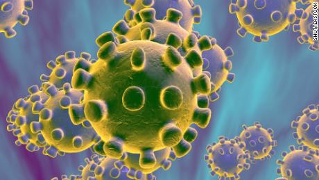 Vaccine for new Chinese coronavirus in the works