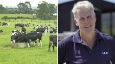 Farmer investment in technology boosts revenue for dairy herd genetics co-op