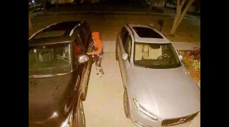 Thieves break into multiple vehicles in Weston neighborhoods