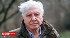 Sir David Attenborough to explore threat to 'perfect planet'