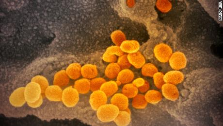 Coronavirus cases top 531,000 globally