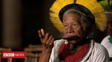 Amazon rainforest: The 90-year-old trying to stop destruction