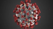 Coronavirus gets official name from WHO: COVID-19