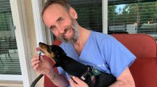 Dr. Ian Kupkee Says Pets Need Dental Care Too – NBC 6 South Florida
