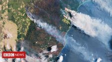 Bushfires: Australian satellite would be 'tuned' to eucalypt vegetation