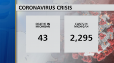 BREAKING: 2,295 Confirmed Coronavirus Cases in Michigan, 43 Deaths