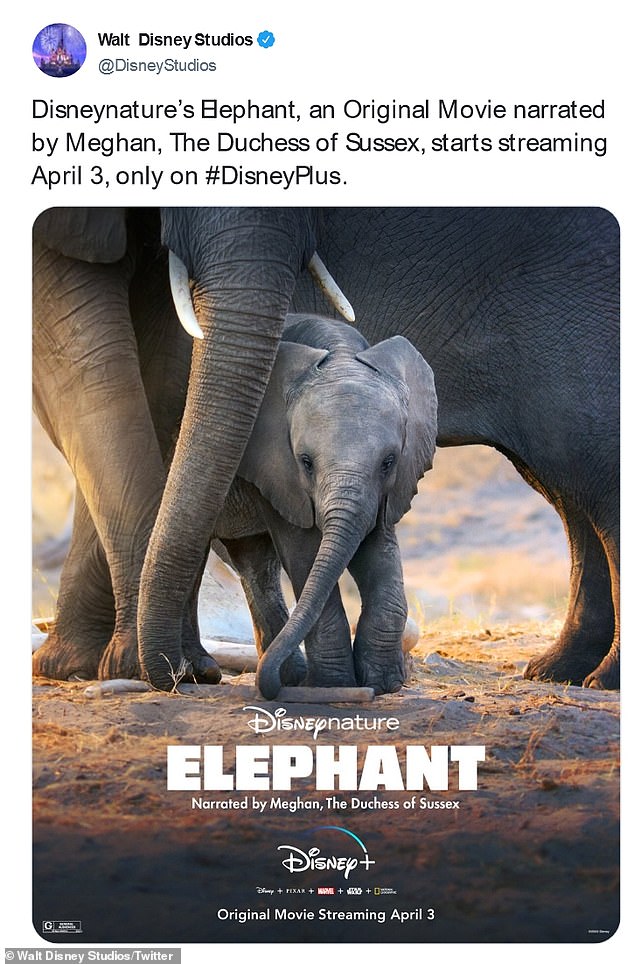 Variety's Owen Gleiberman said Meghan does 'an inviting version of the wholesome but amused Disney narrator singsong', while the Daily Express' George Simpson, who gave it four stars, said the duchess 'comes across very warmly, with most of her lines sounding like she's beaming fondly at the elephants we're watching'
