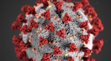 Health officials confirm 197 coronavirus cases in Georgia